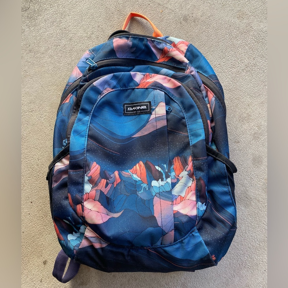 Dakine laptop/ travel backpack